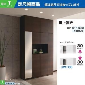 上置 幅31-45cm 高さ61-80cm すきまくん シューズ 壁面家具 玄関収納