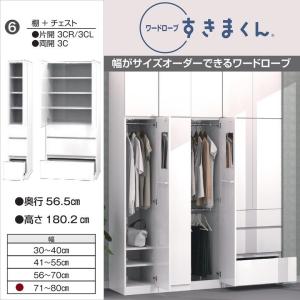 ミラー扉 Wハンガー 幅60cm ワードローブ すきまくん 両開き 衣類収納