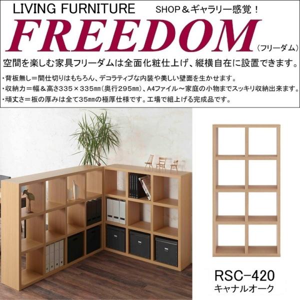 両面シェルフ フリーダム RSC-420 間仕切り オープン 飾り棚 縦置き 横置き A4ファイル収...