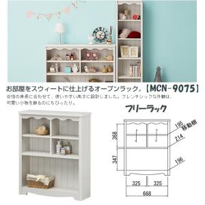 フナモコ（FUNAMOCO） スライド書棚 完成品 本棚 単行本 DVD A4 CD