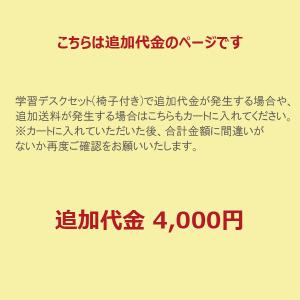 追加代金4000円の商品画像
