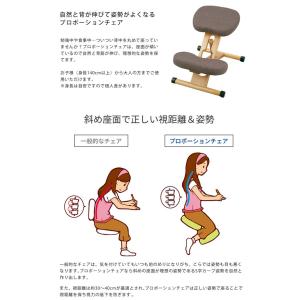 プロポーションチェア 姿勢矯正 矯正チェア 椅...の詳細画像1