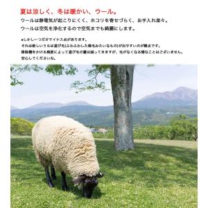 【サンメモリー 本間サイズ】防炎・制電・防汚性...の詳細画像5