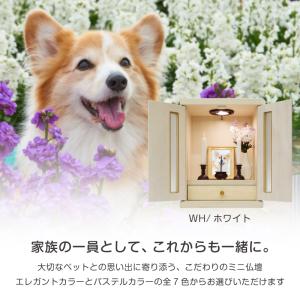 ペット仏壇 メモリアルボックス LED付き 国...の詳細画像2