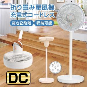 数量限定】エアレボリューション ミストファン AR-MF-Tigers 阪神
