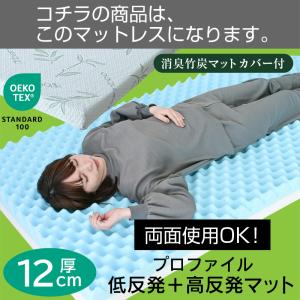 低・高反発両面マットレス3枚付 耐荷重500k...の詳細画像1