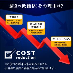 高品質低価格 ロフトベッド ハイタイプ パイプ...の詳細画像5