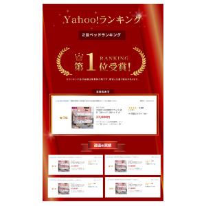 大好評 100台限定プライス 残りわずか 二段...の詳細画像2
