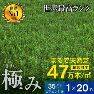 ウィザ WIZ'A 防草リアル人工芝（静電気が起きにくい）30mm1×5m