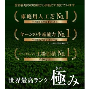 最高ランク 人工芝 ロール 1m×5m 芝丈3...の詳細画像2