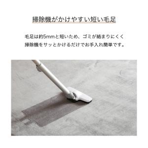 マイクロファイバーラグ 185×185cm 2...の詳細画像5