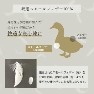 羽根布団 7点布団セット シングル 中綿重量 ...の詳細画像4
