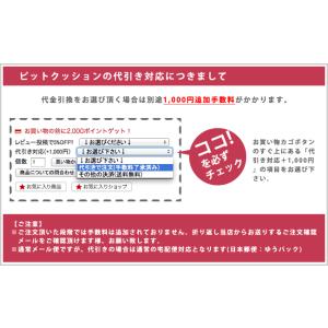 滑り止め ソファ用 家具用 ピットクッション3...の詳細画像4