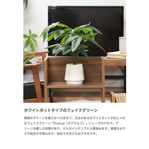 観葉植物 雑貨 インテリア フェイクグリーン ...の詳細画像1