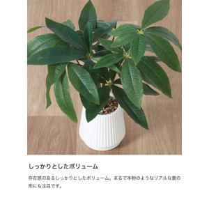 観葉植物 雑貨 インテリア フェイクグリーン ...の詳細画像2
