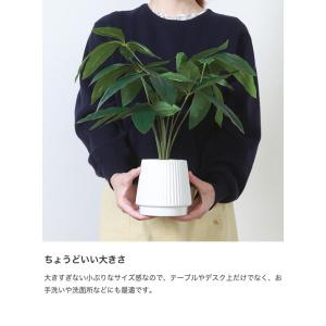 観葉植物 雑貨 インテリア フェイクグリーン ...の詳細画像3