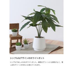 観葉植物 雑貨 インテリア フェイクグリーン ...の詳細画像4
