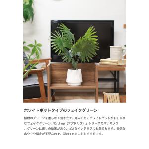 観葉植物 雑貨 インテリア フェイクグリーン ...の詳細画像1