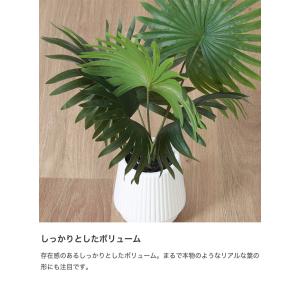 観葉植物 雑貨 インテリア フェイクグリーン ...の詳細画像2