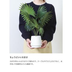 観葉植物 雑貨 インテリア フェイクグリーン ...の詳細画像3