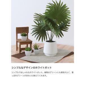 観葉植物 雑貨 インテリア フェイクグリーン ...の詳細画像4