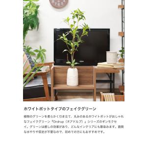 観葉植物 雑貨 インテリア フェイクグリーン ...の詳細画像1