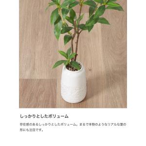 観葉植物 雑貨 インテリア フェイクグリーン ...の詳細画像2