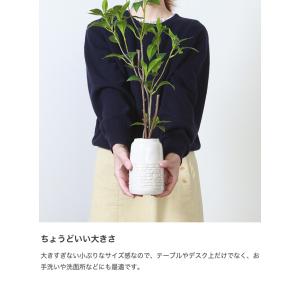 観葉植物 雑貨 インテリア フェイクグリーン ...の詳細画像3