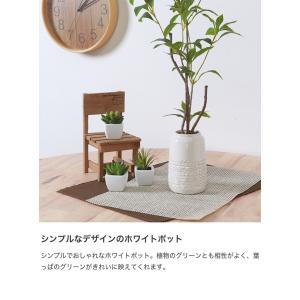 観葉植物 雑貨 インテリア フェイクグリーン ...の詳細画像4