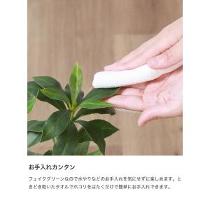 観葉植物 雑貨 インテリア フェイクグリーン ...の詳細画像5