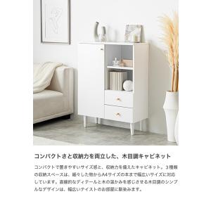 キャビネット リビング収納 ディスプレイ収納 ...の詳細画像1