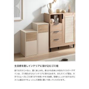 ゴミ箱 30〜45Lゴミ袋対応 リットル l ...の詳細画像1