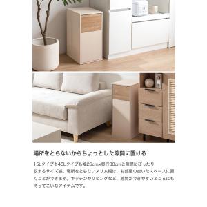 ゴミ箱 30〜45Lゴミ袋対応 リットル l ...の詳細画像3