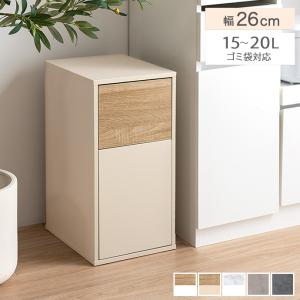 ゴミ箱 15〜20Lゴミ袋対応 ダストボックス 20L リットル l 分別 キッチン ダイニング 小型 小さい 台所 ふた付き リビング 寝室 スリム 薄型 スイング式