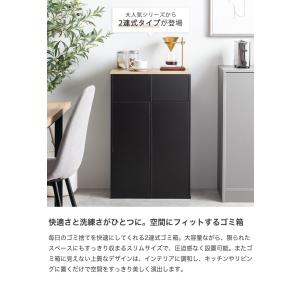 ゴミ箱 分別 2連 ダストボックス ごみ 縦型...の詳細画像1