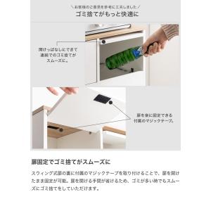 ゴミ箱 分別 2連 ダストボックス ごみ 縦型...の詳細画像4