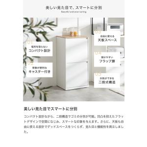 ゴミ箱 ダストボックス 分別 二段 15L 2...の詳細画像2