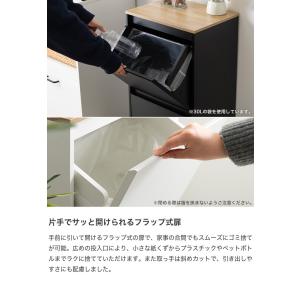 ゴミ箱 ダストボックス 分別 二段 15L 2...の詳細画像5