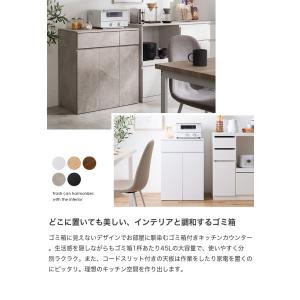ゴミ箱 分別 45リットル 45L ダストボッ...の詳細画像1