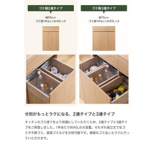 ゴミ箱 分別 45リットル 45L ダストボッ...の詳細画像3