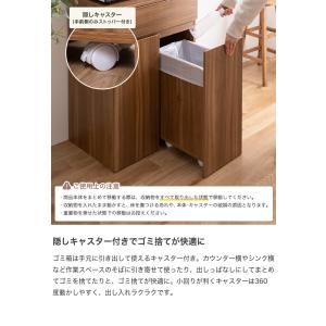 ゴミ箱 分別 45リットル 45L ダストボッ...の詳細画像4