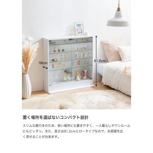 コレクションケース ガラスケース コレクション...の詳細画像2