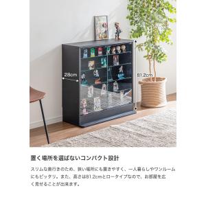 コレクションケース ガラスケース コレクション...の詳細画像2