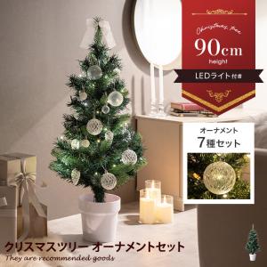 本物のもみの木120cm〜 10号鉢 クリスマスツリー用・モミの木 鉢植え