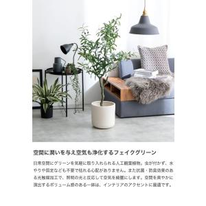 観葉植物 オリーブ フェイクグリーン 人工 室...の詳細画像1