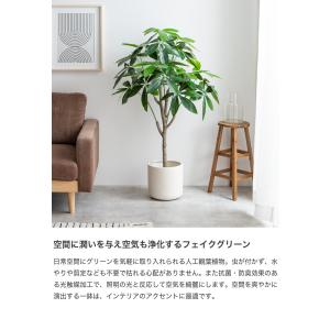 観葉植物 パキラ フェイクグリーン 人工 室内...の詳細画像1