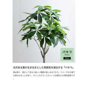観葉植物 パキラ フェイクグリーン 人工 室内...の詳細画像3