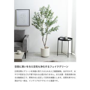観葉植物 オリーブ フェイクグリーン 人工 室...の詳細画像1