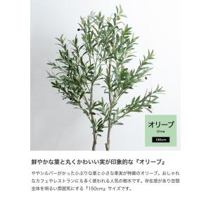 観葉植物 オリーブ フェイクグリーン 人工 室...の詳細画像3