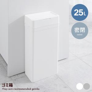 ダストボックス 9リットルタイプ2分別ごみ箱 スチール製ゴミ箱 約幅